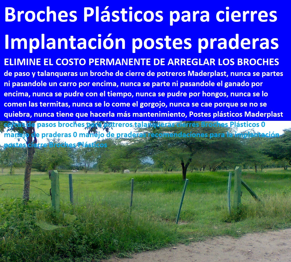 Postes plásticos Maderplast cercas de pasos broches para potreros talanqueras cierres Broches Plásticos 0 manejo de praderas 0 manejo de praderas recomendaciones para la implantación postes cierre Broches Plásticos Postes plásticos Maderplast cercas de pasos broches para potreros talanqueras cierres Broches Plásticos 0 manejo de praderas 0 manejo de praderas recomendaciones para la implantación postes cierre Broches Plásticos Postes plásticos Maderplast cercas de pasos broches para potreros talanqueras cierres Broches Plásticos 0 manejo de praderas 0 manejo de praderas recomendaciones para la implantación postes cierre Broches Plásticos